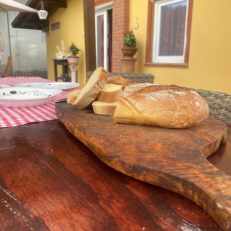 Fragolina Per Due Villa Lucca Eksteriør billede
