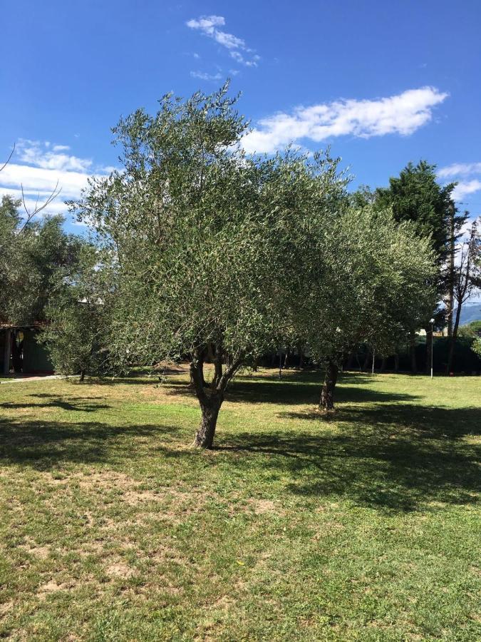Fragolina Per Due Villa Lucca Eksteriør billede