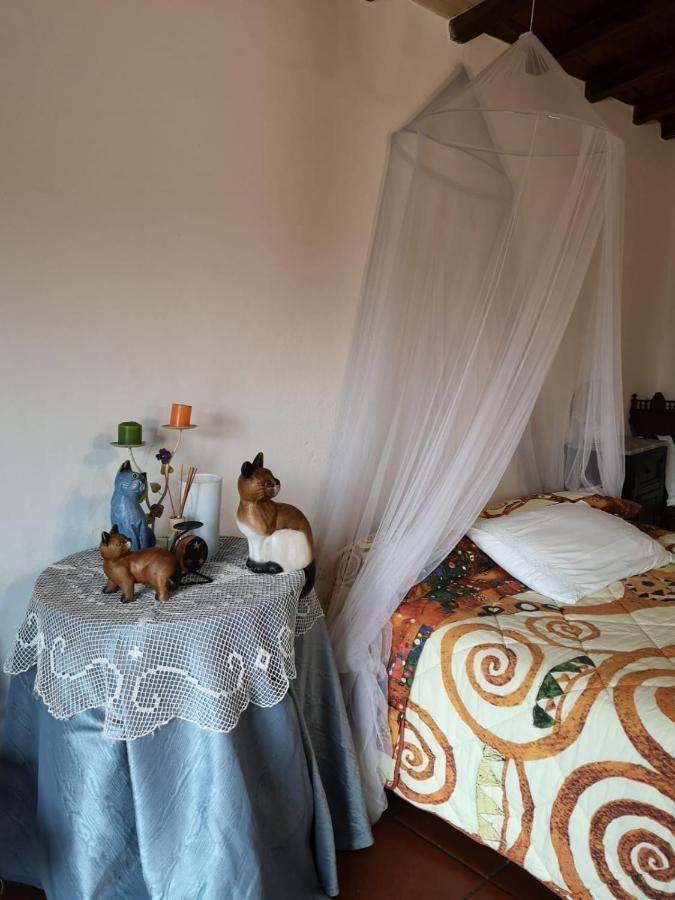 Fragolina Per Due Villa Lucca Eksteriør billede