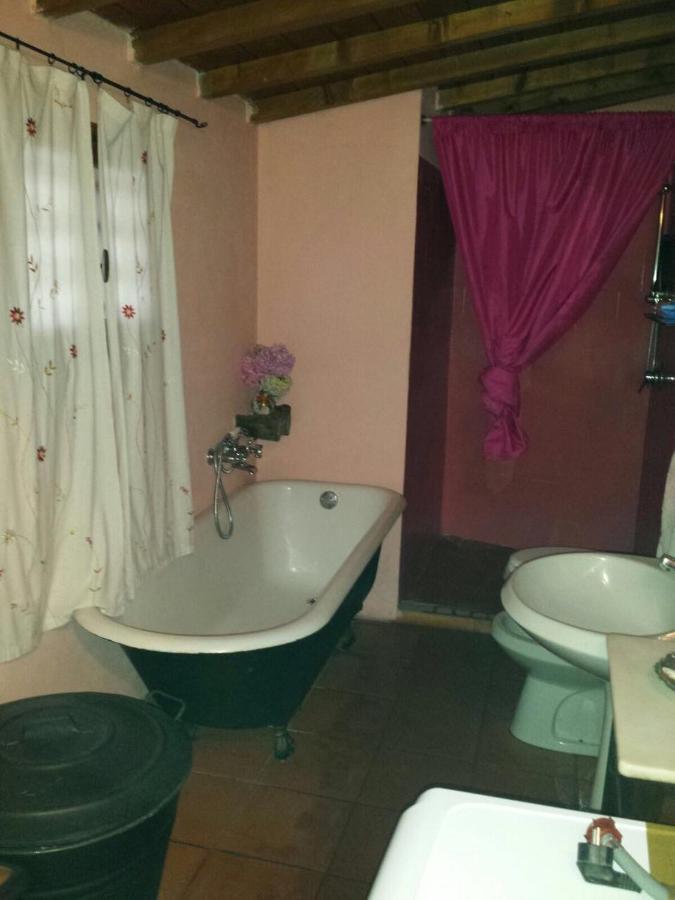 Fragolina Per Due Villa Lucca Eksteriør billede